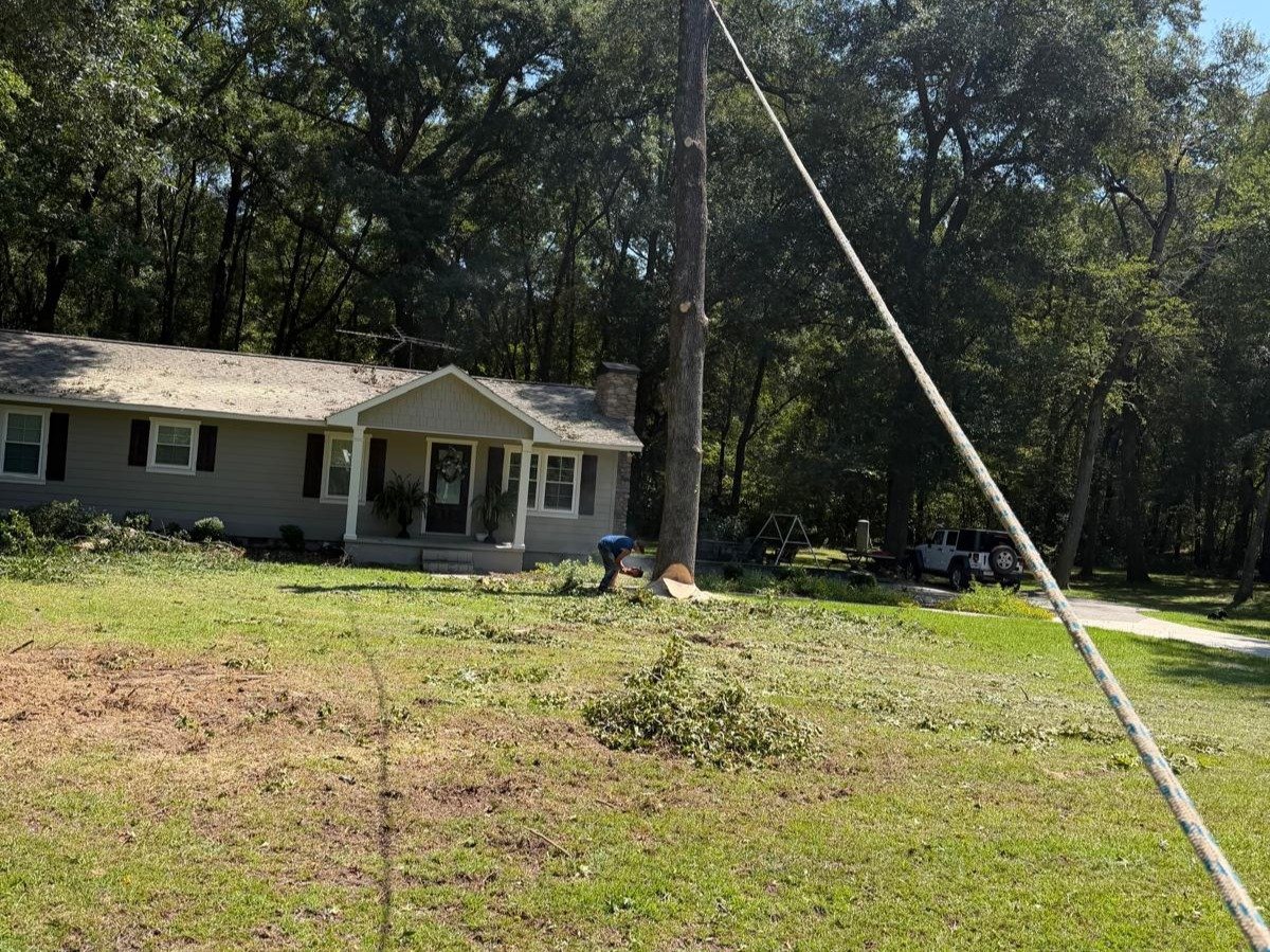 El Costeño Tree Service LLC